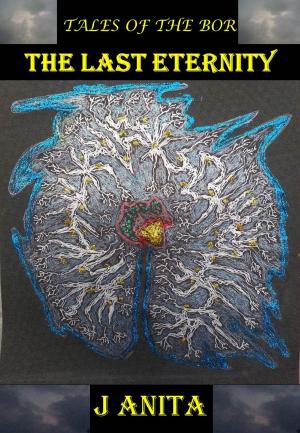 Cover of the book The Last Eternity by Erick Alden