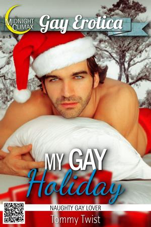 bigCover of the book My Gay Holiday (Naughty Gay Lover) by 