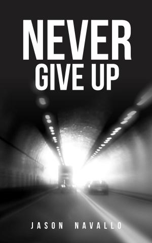 Cover of the book Never Give Up by Judith Quin