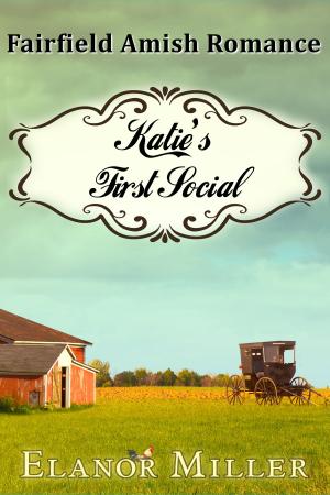 Cover of the book Fairfield Amish Romance: Katie's First Social by David R. George III