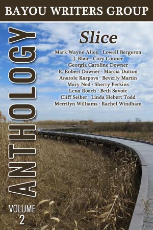 Cover of the book Slice: Bayou Writers Group Anthology - Volume 2 by Rudie Van Rensburg