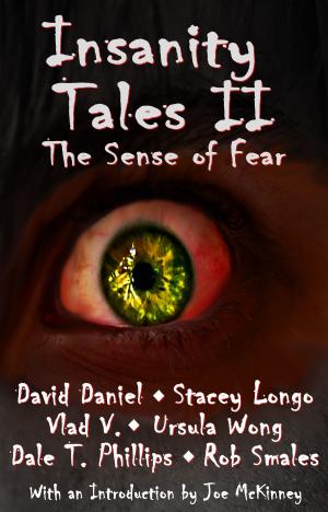 Book cover of Insanity Tales II: The Sense of Fear