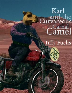 Book cover of Karl and the Curvaceous Carnal Camel