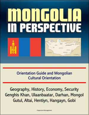 Cover of the book Mongolia in Perspective: Orientation Guide and Mongolian Cultural Orientation: Geography, History, Economy, Security, Genghis Khan, Ulaanbaatar, Darhan, Mongol, Gutul, Altai, Hentiyn, Hangayn, Gobi by Progressive Management