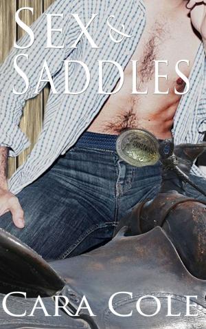 Cover of the book Sex and Saddles by Alana Taylor