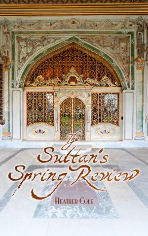Cover of the book The Sultan's Spring Review by Epic Sex Stories