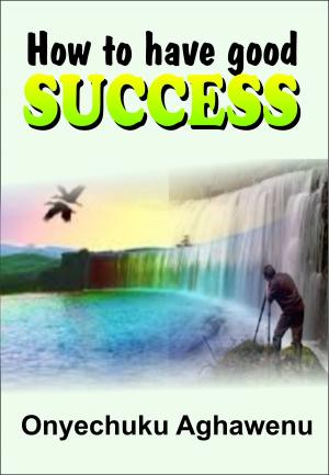 Book cover of How To Have Good Success