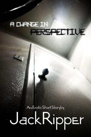 Cover of the book A Change In Perspective by Anne Herries