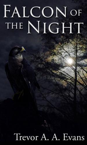 Cover of the book Falcon of the Night by Ryan Zavis