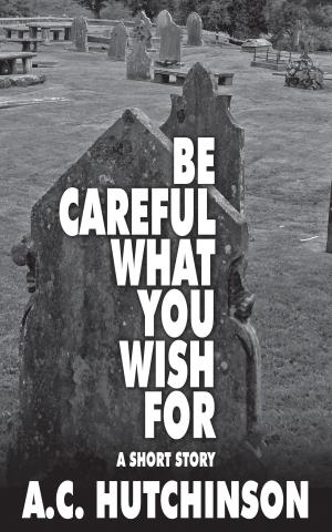 Cover of the book Be Careful What You Wish For: A Short Story by Paul Edwards