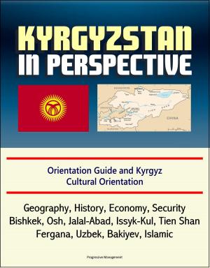 Cover of Kyrgyzstan in Perspective: Orientation Guide and Kyrgyz Cultural Orientation: Geography, History, Economy, Security, Bishkek, Osh, Jalal-Abad, Issyk-Kul, Tien Shan, Fergana, Uzbek, Bakiyev, Islamic