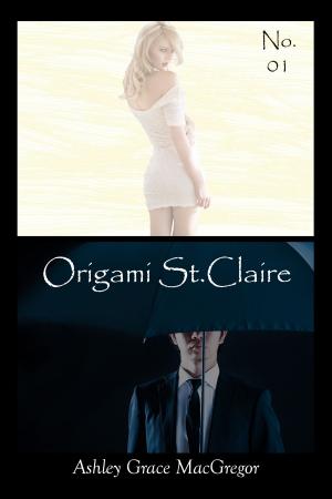 Book cover of Origami St.Claire No. 1