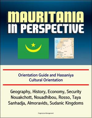 bigCover of the book Mauritania in Perspective: Orientation Guide and Hassaniya Cultural Orientation: Geography, History, Economy, Security, Nouakchott, Nouadhibou, Rosso, Taya, Sanhadja, Almoravids, Sudanic Kingdoms by 