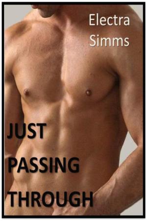 Cover of the book Just Passing Through by M.R. Kelly