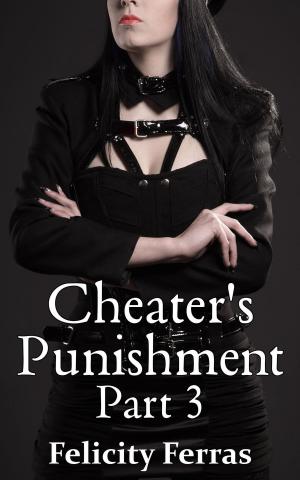 Cover of the book Cheater's Punishment 3 by Chris Reher