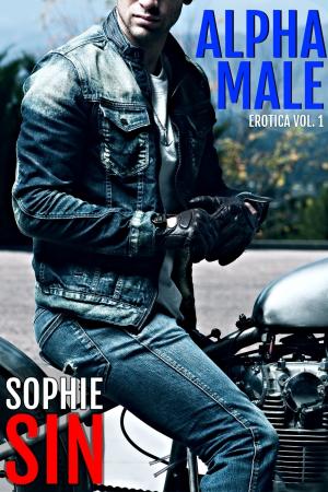 Cover of the book Alpha Male Erotica Vol. 1 by Robyn McCoy