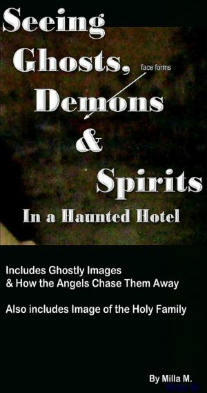 Cover of the book Seeing Ghosts, Demons & Spirits in a Haunted Hotel by Aliyah Marr