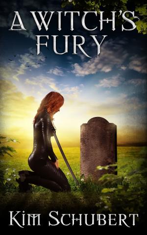 Book cover of A Witch's Fury