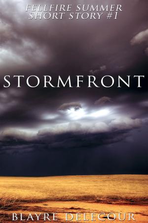 Book cover of Stormfront (Fellfire Summer Short Story #1)