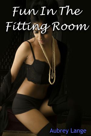 Cover of the book Fun In The Fitting Room by Daniella Cerveny