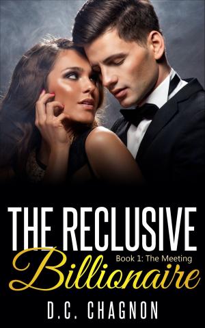 Cover of the book The Reclusive Billionaire, Book One: The Meeting by Lisa Shelby