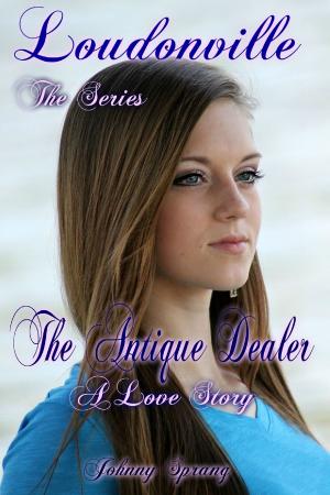 Cover of the book Loudonville, The Series: The Antique Dealer, a Love Story by Ella M. Kaye
