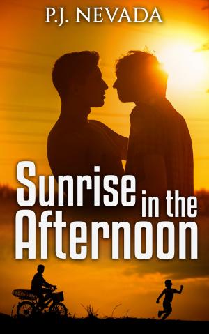 Cover of the book Sunrise in the Afternoon by David J. Peters