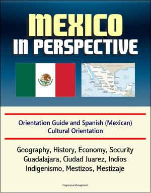 Cover of the book Mexico in Perspective - Orientation Guide and Spanish (Mexican) Cultural Orientation: Geography, History, Economy, Security, Guadalajara, Ciudad Juarez, Indios, Indigenismo, Mestizos, Mestizaje by Progressive Management