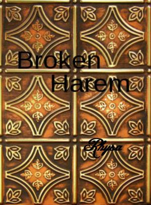 Cover of the book Broken Harem: Nadenya (intro) by CW Hawes