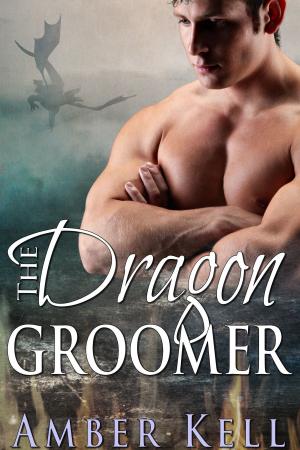 Book cover of Dragon Groomer