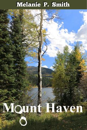 Cover of Mount Haven
