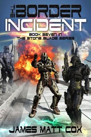 Cover of the book The Border Incident by Bruce H Johnson