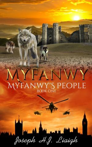 Book cover of Myfanwy: The First Book of the Myfanwy's People Series.