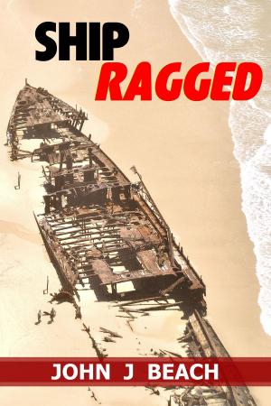 Cover of the book Ship Ragged by Jim Pyra