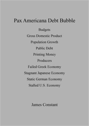 Cover of the book Pax Americana Debt Bubble by James Constant