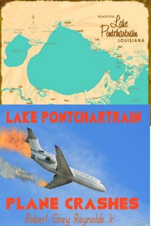 Cover of the book Lake Ponchartrain Plane Crashes by Robert Grey Reynolds Jr