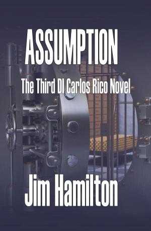 Cover of the book Assumption by Justin Mermelstein