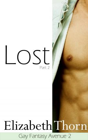 Book cover of Lost 2 Gay Fantasy Avenue #2