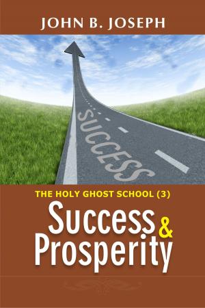 Cover of the book Success and Prosperity by John W. Smith, Jr.