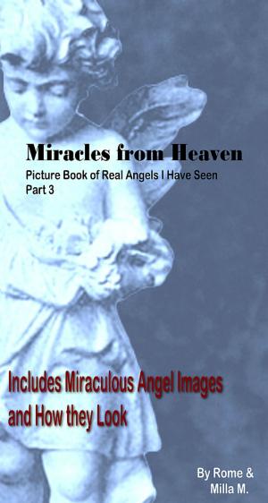Cover of the book Miracles from Heaven: Picture Book of Real Angels I Have Seen Part 3 by William O'Donohue