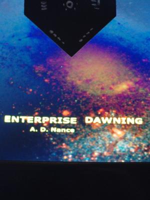 Cover of the book Enterprise Dawning by David Tiefenthaler