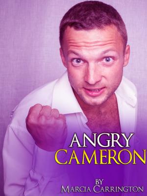 Cover of the book Angry Cameron by Lorna Schultz Nicholson