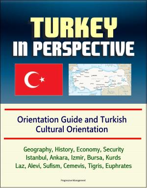 Cover of the book Turkey in Perspective: Orientation Guide and Turkish Cultural Orientation: Geography, History, Economy, Security, Istanbul, Ankara, Izmir, Bursa, Kurds, Laz, Alevi, Sufism, Cemevis, Tigris, Euphrates by Progressive Management