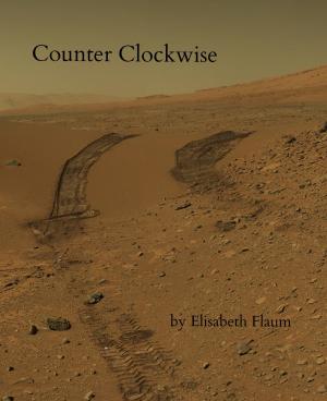 Book cover of Counter Clockwise