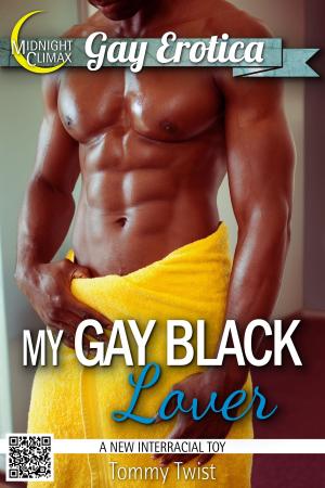 Cover of the book My Gay Black Lover (A New Interracial Toy) by Selena Savage