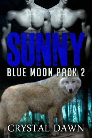Cover of the book Sunny by Christopher Lovato