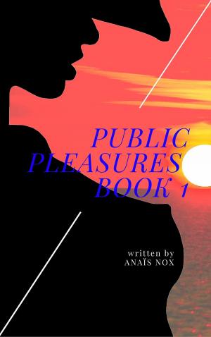 Book cover of Public Pleasures (Part 1)