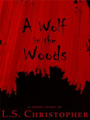 Book cover of A Wolf in the Woods