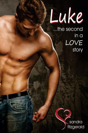 Book cover of Luke ...The Second in a Love Story.
