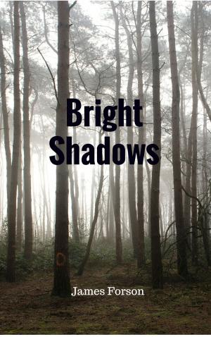 bigCover of the book Bright Shadows by 